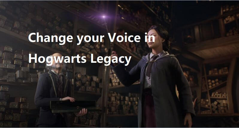 change voice in hogwarts legacy