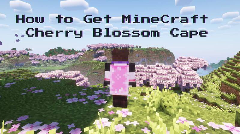 minecraft cherry blossom cape