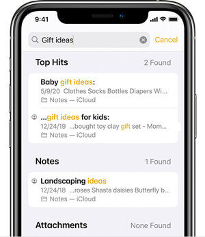 search notes on iPhone
