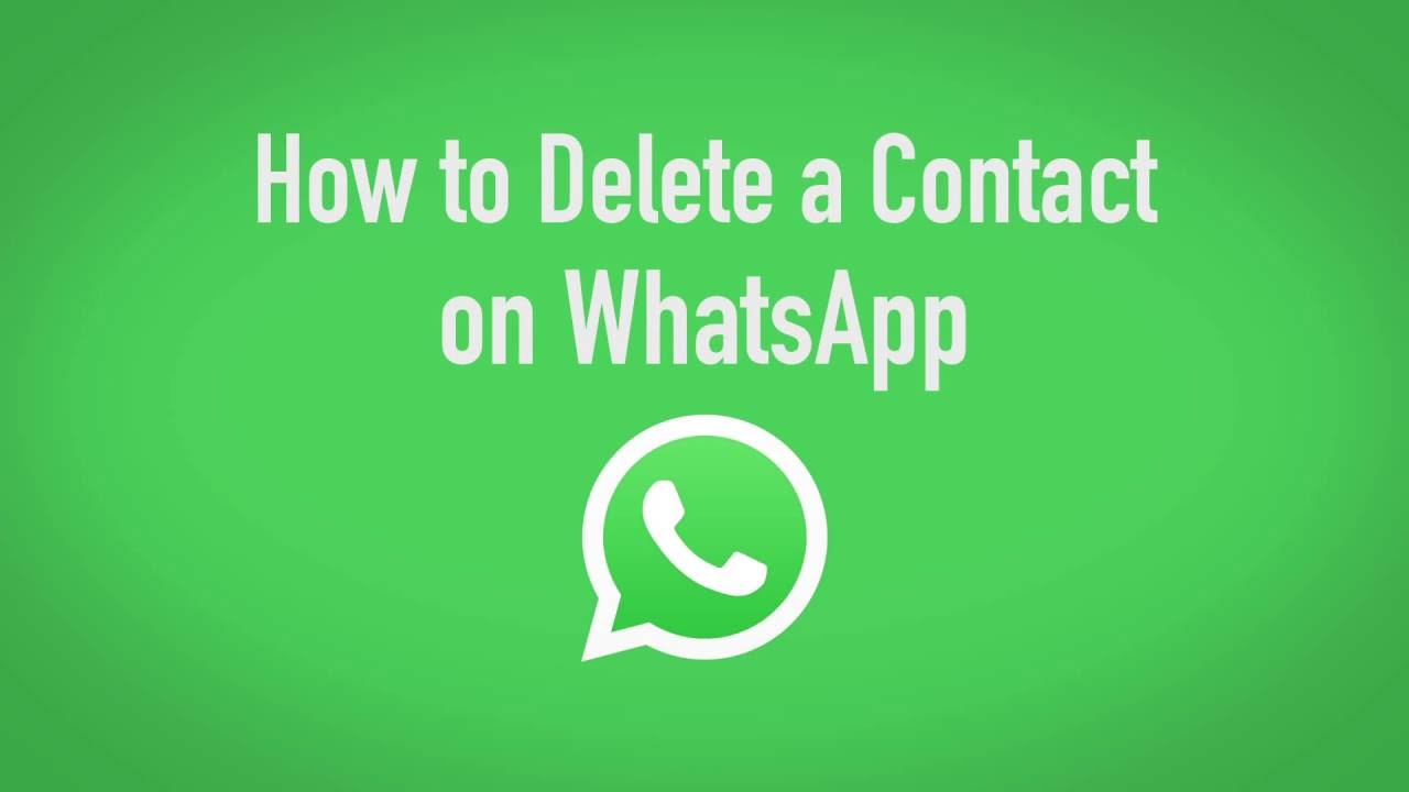 How To Delete Contacts From WhatsApp