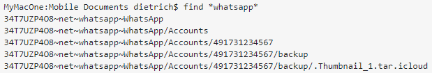 access whatsapp in icloud