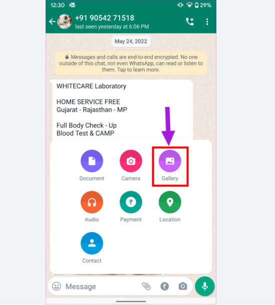 choose gallery to select photos on whatsapp