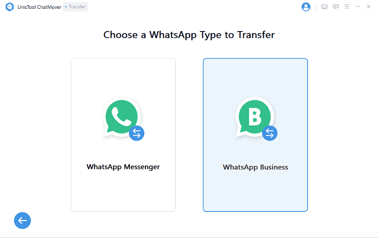 choose whatsapp business