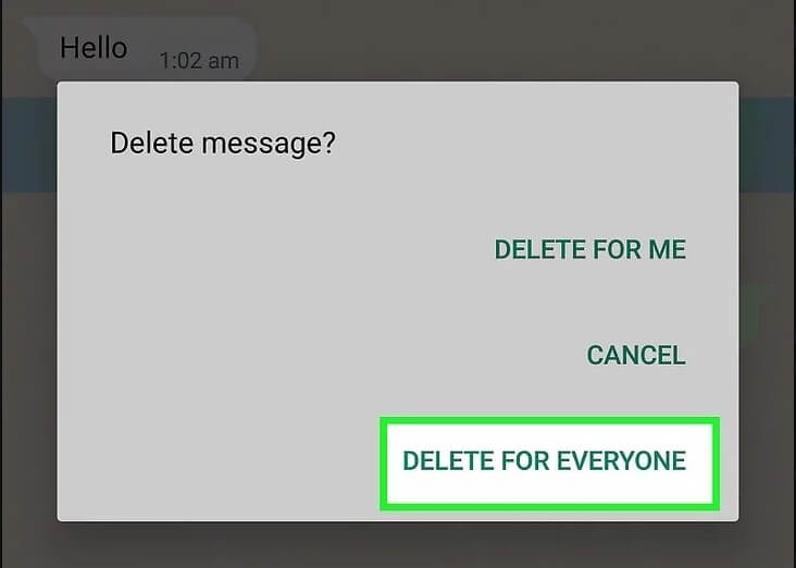 Delete for Everyone