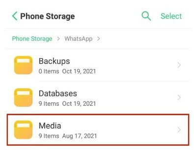 WhatsApp Media File