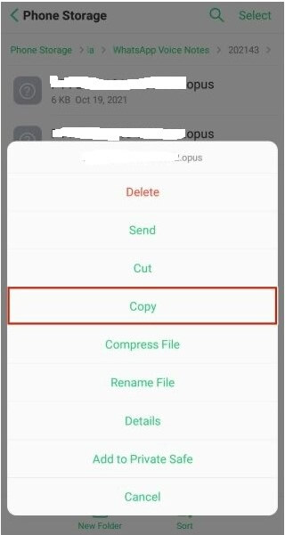 Copy Voice Notes