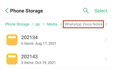 WhatsApp Voice Notes