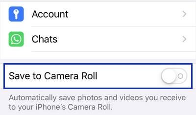 save to camera roll