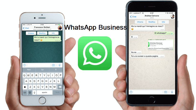 transfer whatsapp business android to iphone