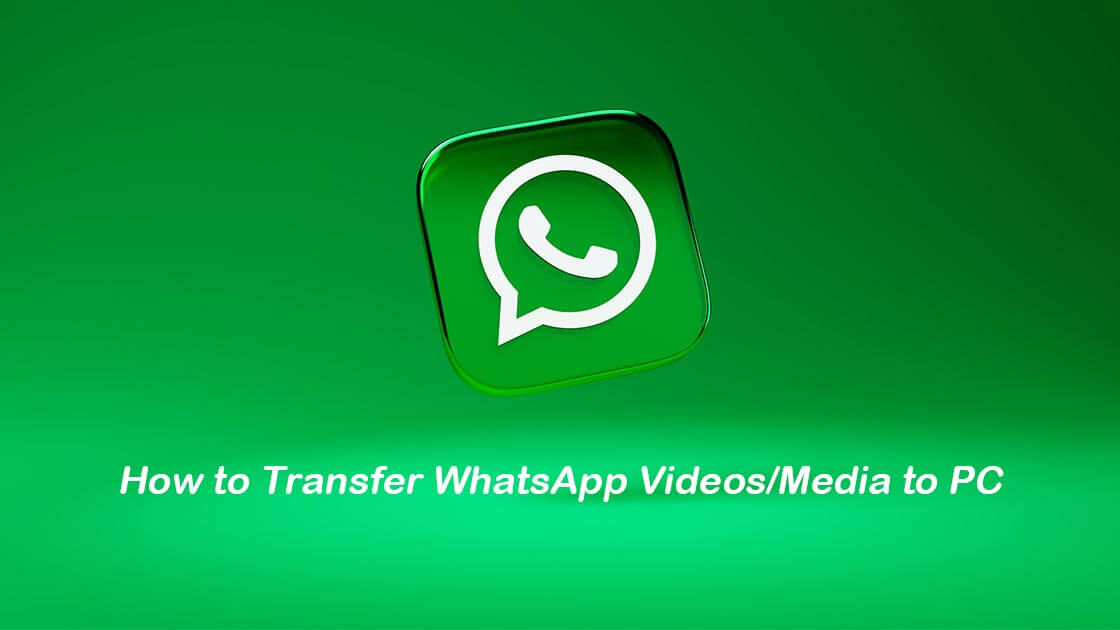 how to download whatsapp media to pc