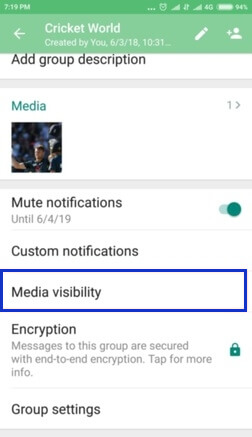 turn off media visibility for a specific group
