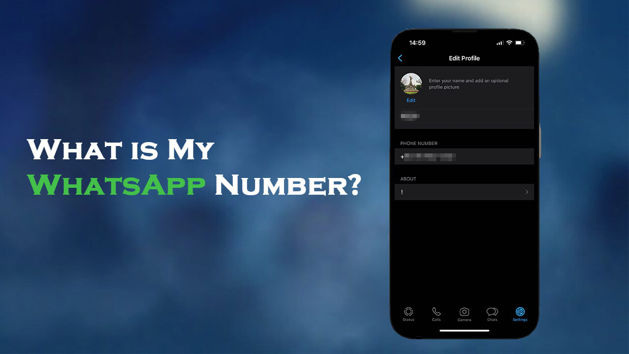 how to see my own number in whatsapp