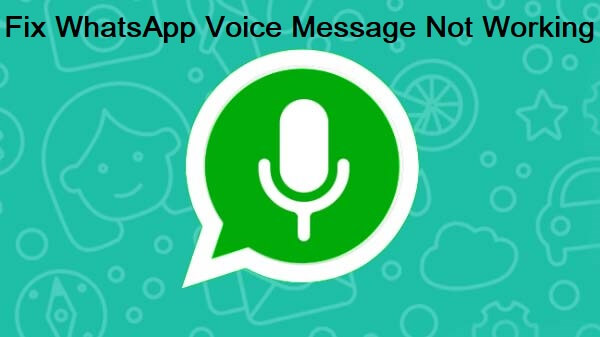 Top 9 Fixes For Whatsapp Voice Message Not Working Issue 0325