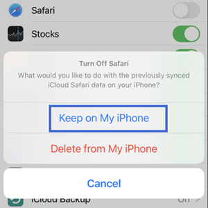 keep Safari history on iPhone