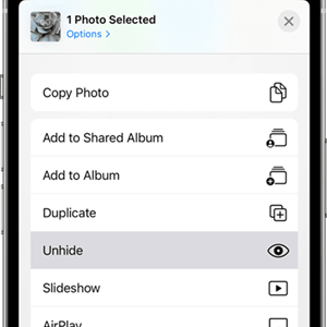 unhide hidden album for private photo vault recovery 