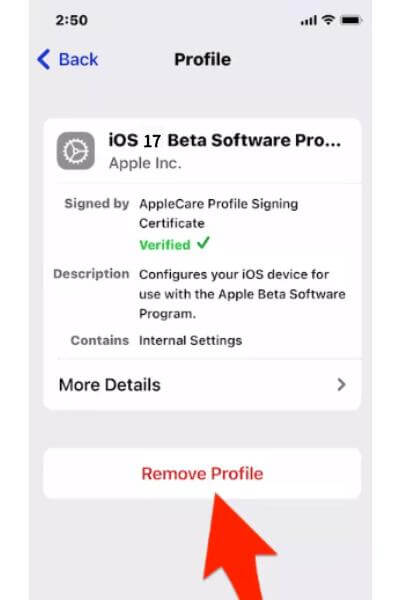 step 3 for how to remove iOS 17 beta without lossing data 