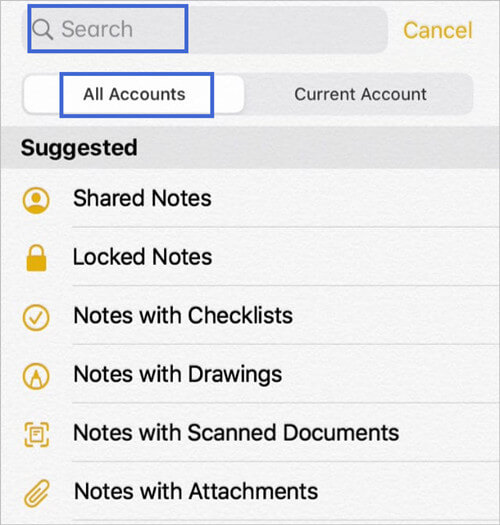 search notes on iPad