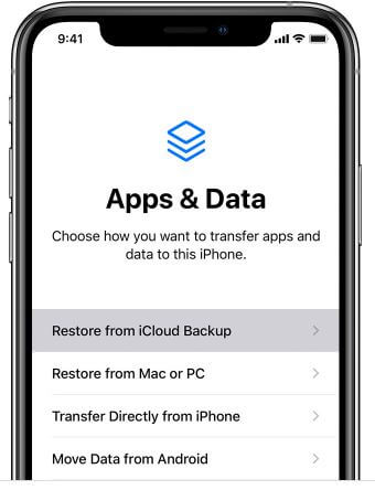 choose restore from icloud