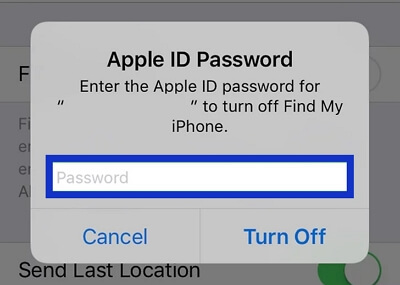 Apple ID password