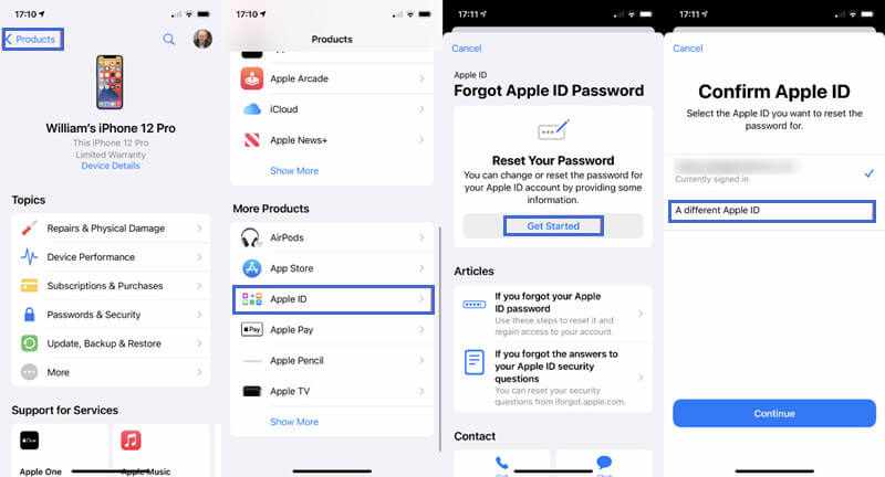 reset password with Apple Support app