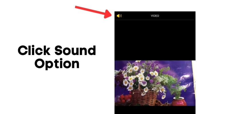 click sound option