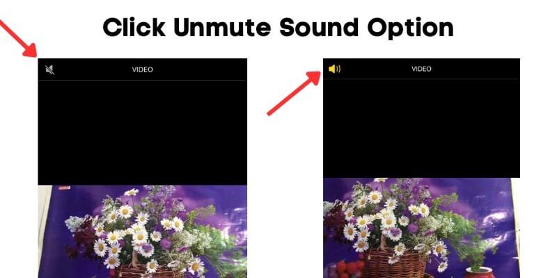 click unmute sound option