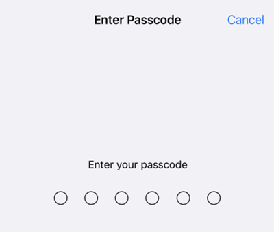 enter your passcode