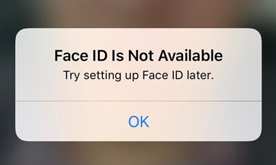 Face ID not available error