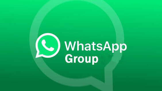 add photo to whatsapp group iphone