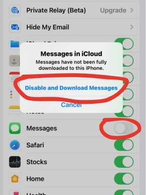 Click Disable and Download Messages on the pop-up window