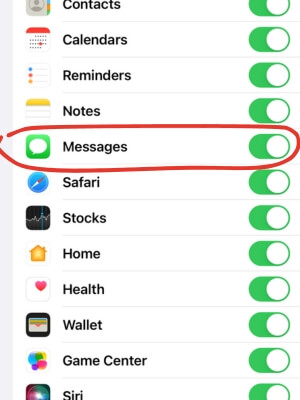 Make sure the button beside Messages is enable