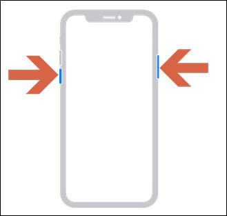 press and hold the iPhone's right button and the left down volume button for a while