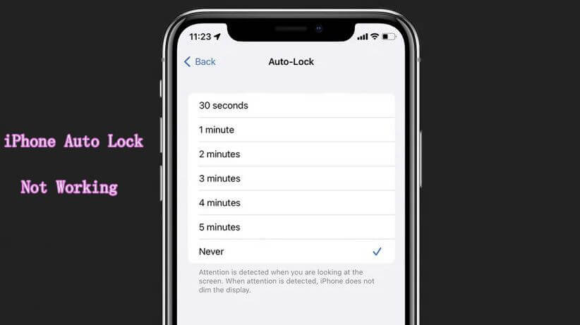 iphone auto lock not working