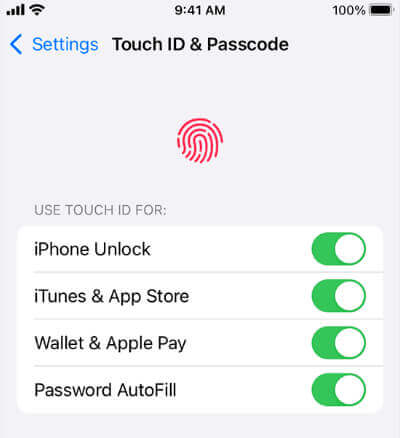 enable the touch id features