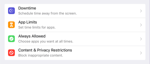 restrictions setting on iPad