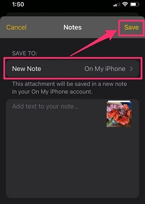 see the notes app