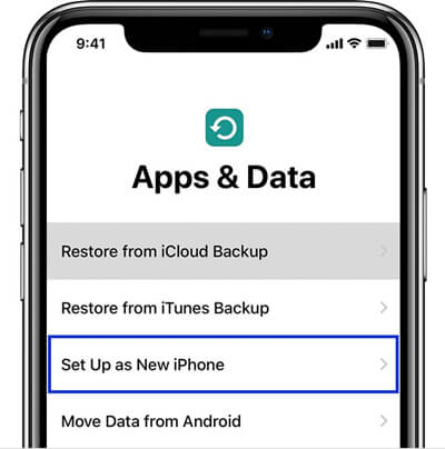 Set Up as New iPhone