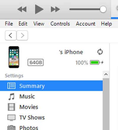 summary iTunes