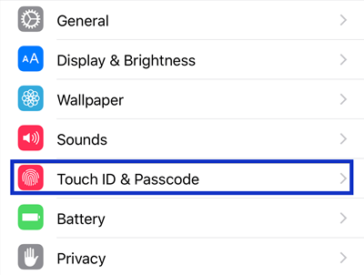 Touch ID & Passcode