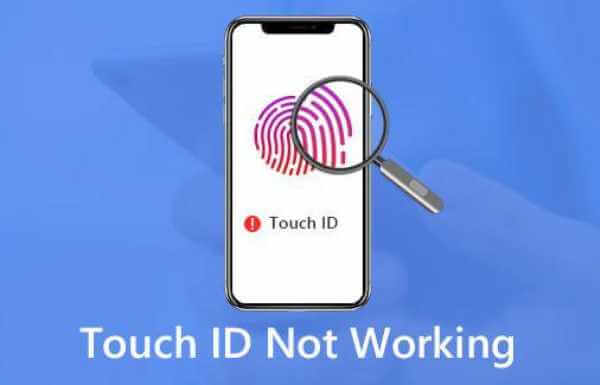 mac os big sur touch id not working