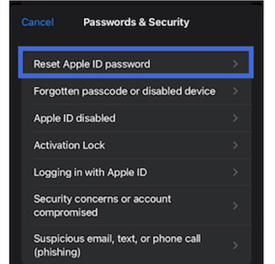 reset Apple ID