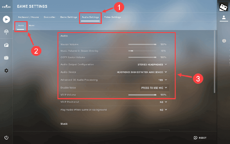 CSGo Voice Setting