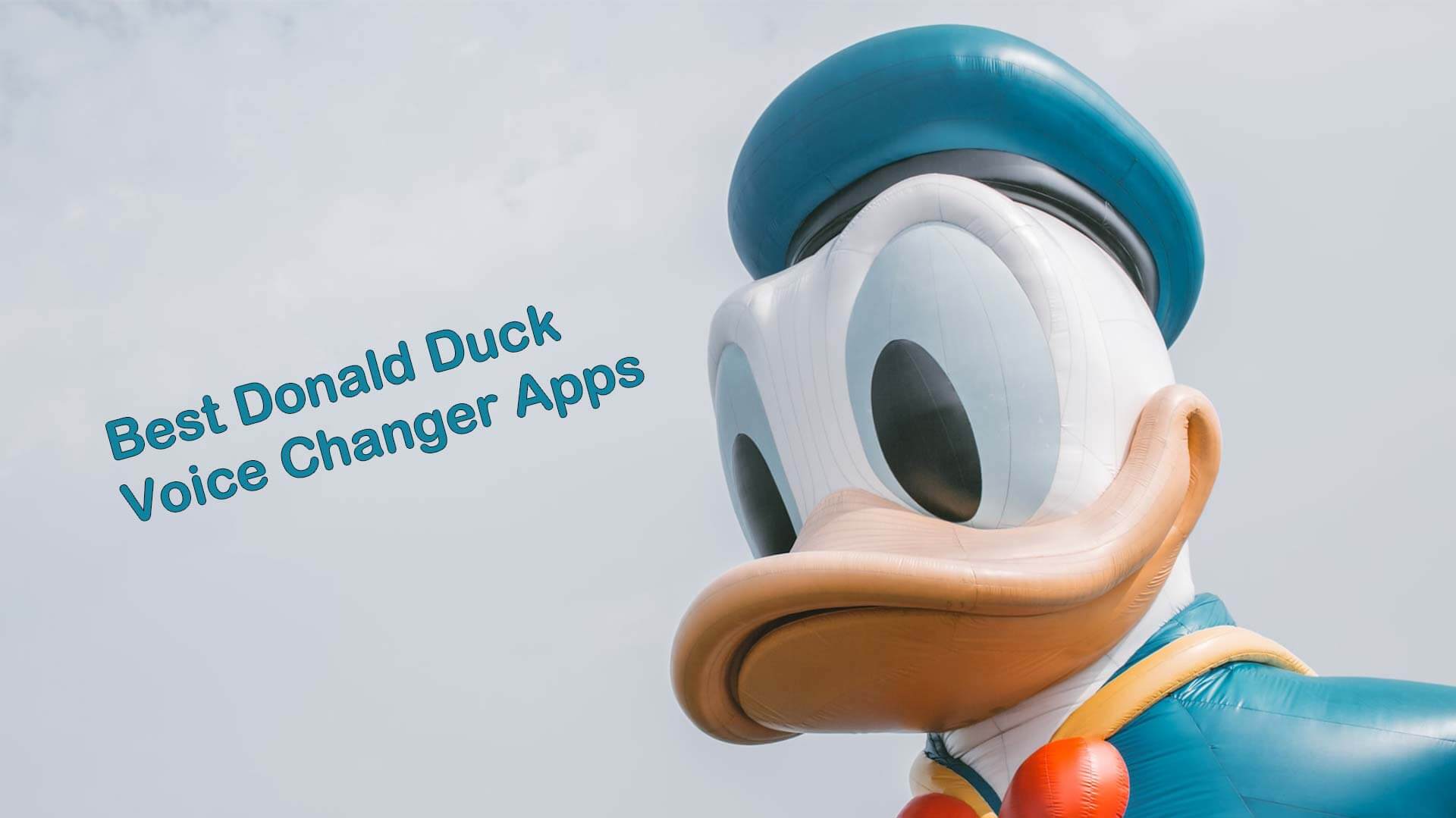 Donald Duck Voice Changer Cover