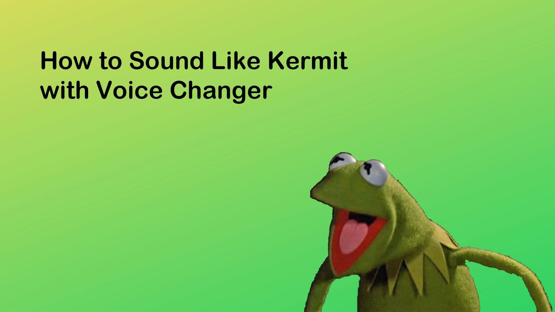 Kermit Voice Changer