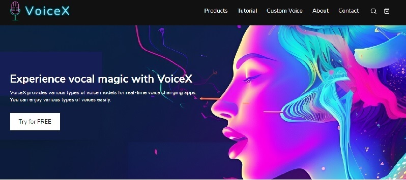 voice x interface