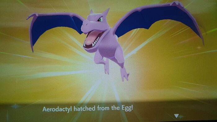 Aerodactyl hatched from eggs