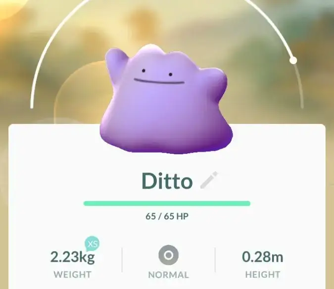 Catch 3 Transform Pokémon Ditto Hunting & Events