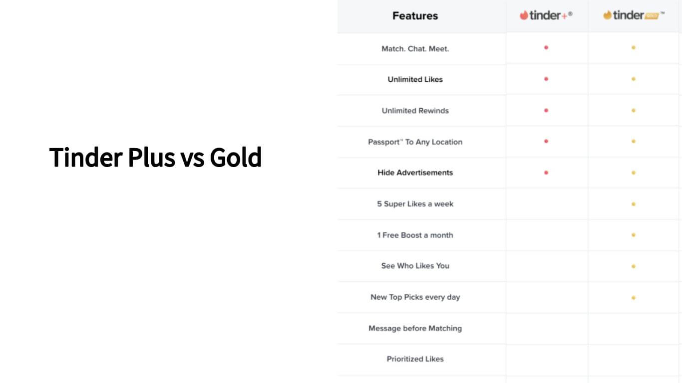 [2024] Everything About Tinder++