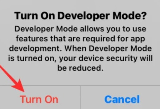 Turn on Developer Mode