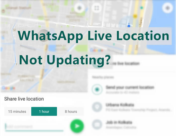 WhatsApp live location not updating